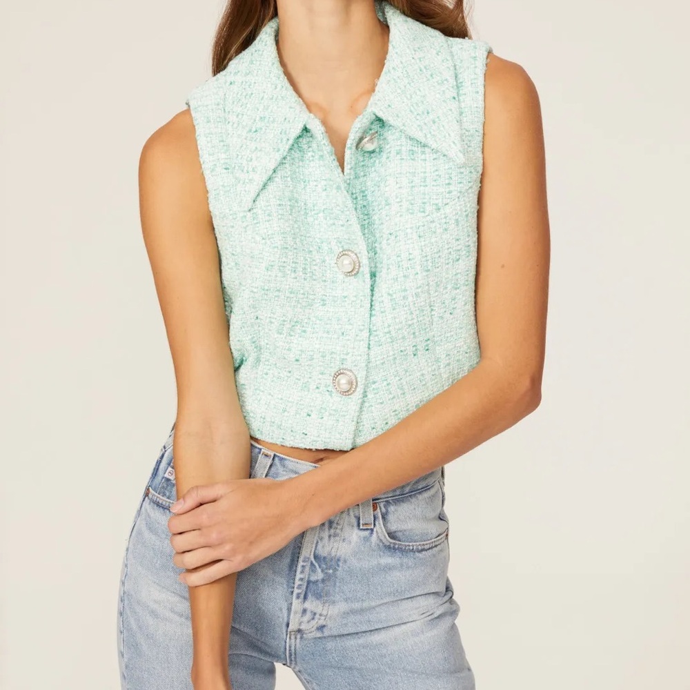 Ronny Kobo Collection Light Green Tweed Crop Top